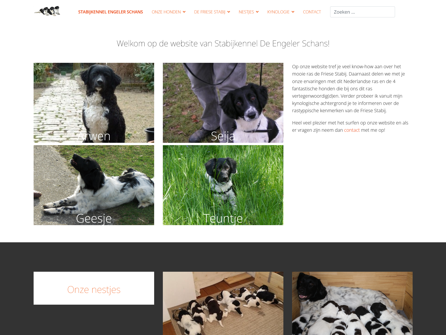 KENNEL ENGELER SCHANS Stabijkennel de Engeler Schans